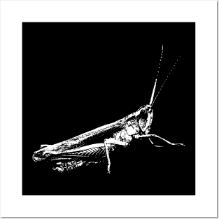 Grasshopper white Posters and Art